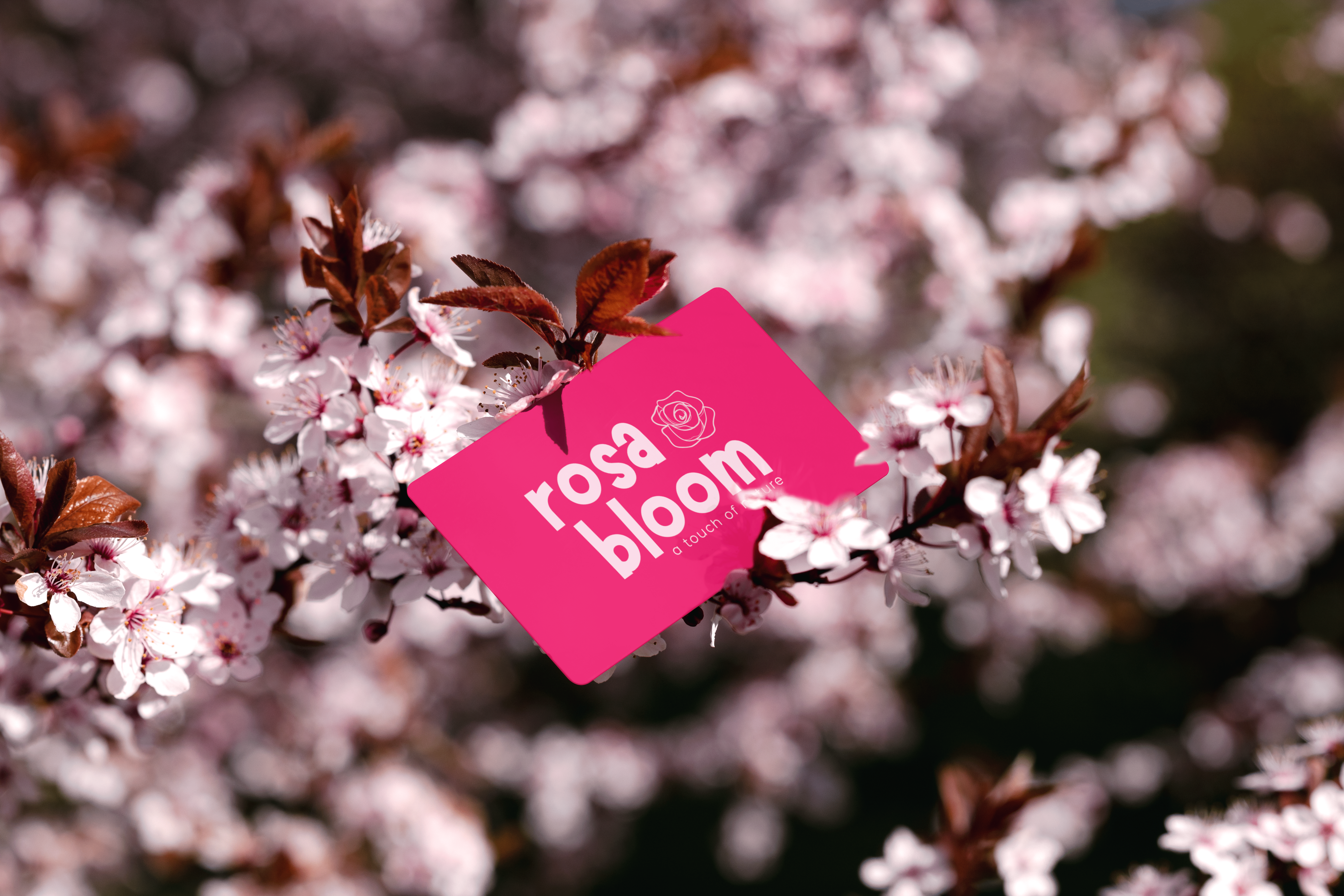 RosaBloom Mockup 2